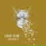 Lunar Plane