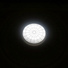 Flying Tulpa
