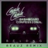 Cash Cash, Dashboard Confessional