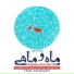 Hojat Ashrafzadeh feat. Arash Bayat, Amir Bayat