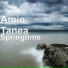 Amie Tanea