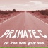 Primate C