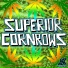 Superior Cornrows