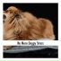 Dog Chill Out Music