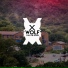 X Wolf feat. PK The Capital C