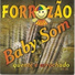 Forrozão Baby Som