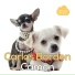Carlos Bordon