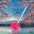 Pink Ru$h & Pink Ro$e