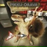 Pikku-Orava