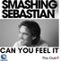 Smashing Sebastian