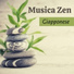 Asiatico Zen Spa