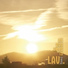 LAV