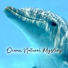 Sounds of Nature Relaxation, Nature Sound Series