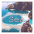 JasonWell