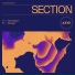 Section