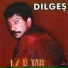 Dılgeş