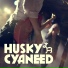 Cyaneed