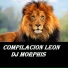 DJ Morphis