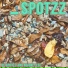 spotzz