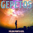 Gepetos