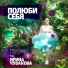 годжи