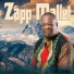 Zapp Mallet