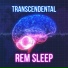 The Great Brain System