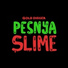 ToMix & Pesnya