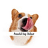 Dog Chillout Music