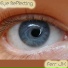 Ferr JX
