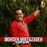 Mohsen Mirzazadeh