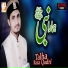 Talha Raza Qadri