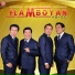 Flamboyan Voice