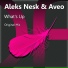 Aleks Nesk, Aveo