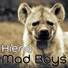 Mad Boys