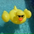 Callipyge