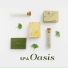 Relaxing Spa Music Zone