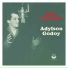 Adylson Godoy