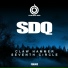 SDQ