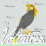 The Voltaires