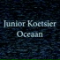 Junior Koetsier