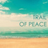 Art of Peace