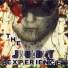 The Judy Experience