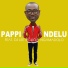 Pappi Ndelu feat. DJ Lee feat. DJ Lee