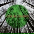 Spa Tribe, Meditation Spa, Calm Music For Studying