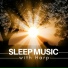 Bedtime Songs Collective