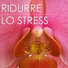 Pura Meditazione Stress