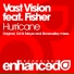 Vast Vision feat. Fisher