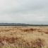 Microlot
