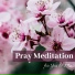 Meditation Weekend